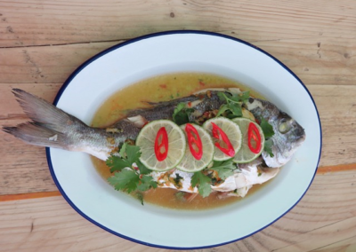 suphas fish